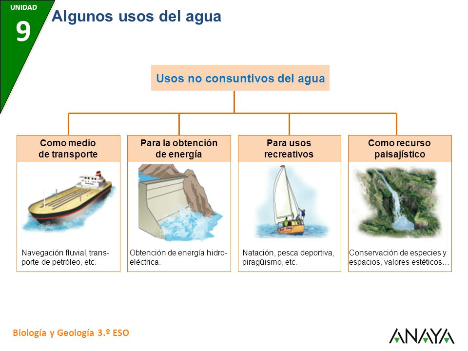 La pesca el albur los aparejos invernales